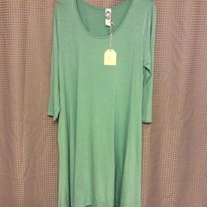 NWT Soft Green Swing Dress (Small)